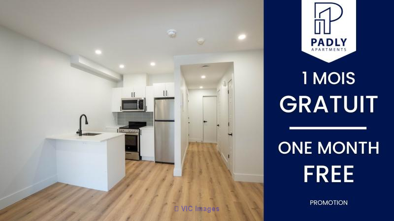 Newly Renovated Studios with 1 Month Free Rent - Immediate Occupancy in HOMA / Studios Rénovés avec 1 Mois de Loyer Gratuit - Occupation Immédiate à HOMA