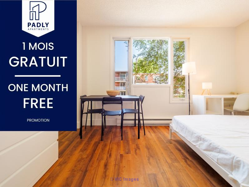 Affordable Furnished & Renovated Studio and 1-Bedroom from $920, All-Inclusive | Logements meublés et rénovés abordables, studio et 1 chambre à partir de 920 $, tout inclus